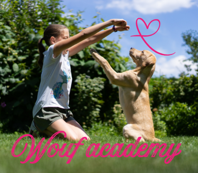 Wouf academy